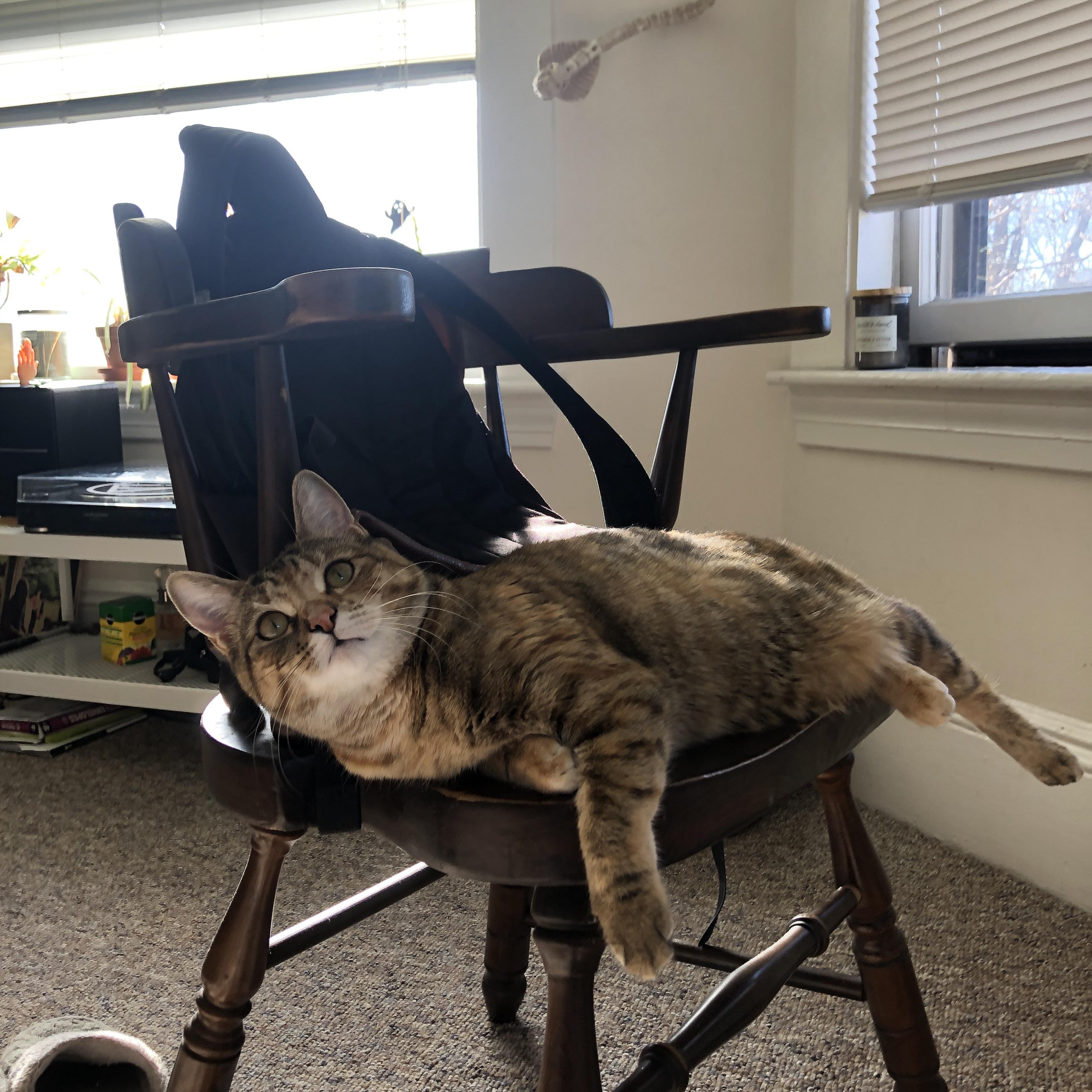 雷火电竞官网-跨越大陆的魔法，当加维出现在伊朗对阵澳大利亚之战