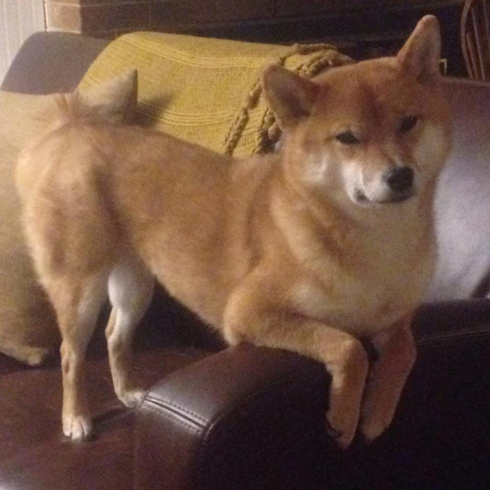 绝境亮剑!德布劳内一传一射化身关键先生,阿根廷力克牙买加惊险突围