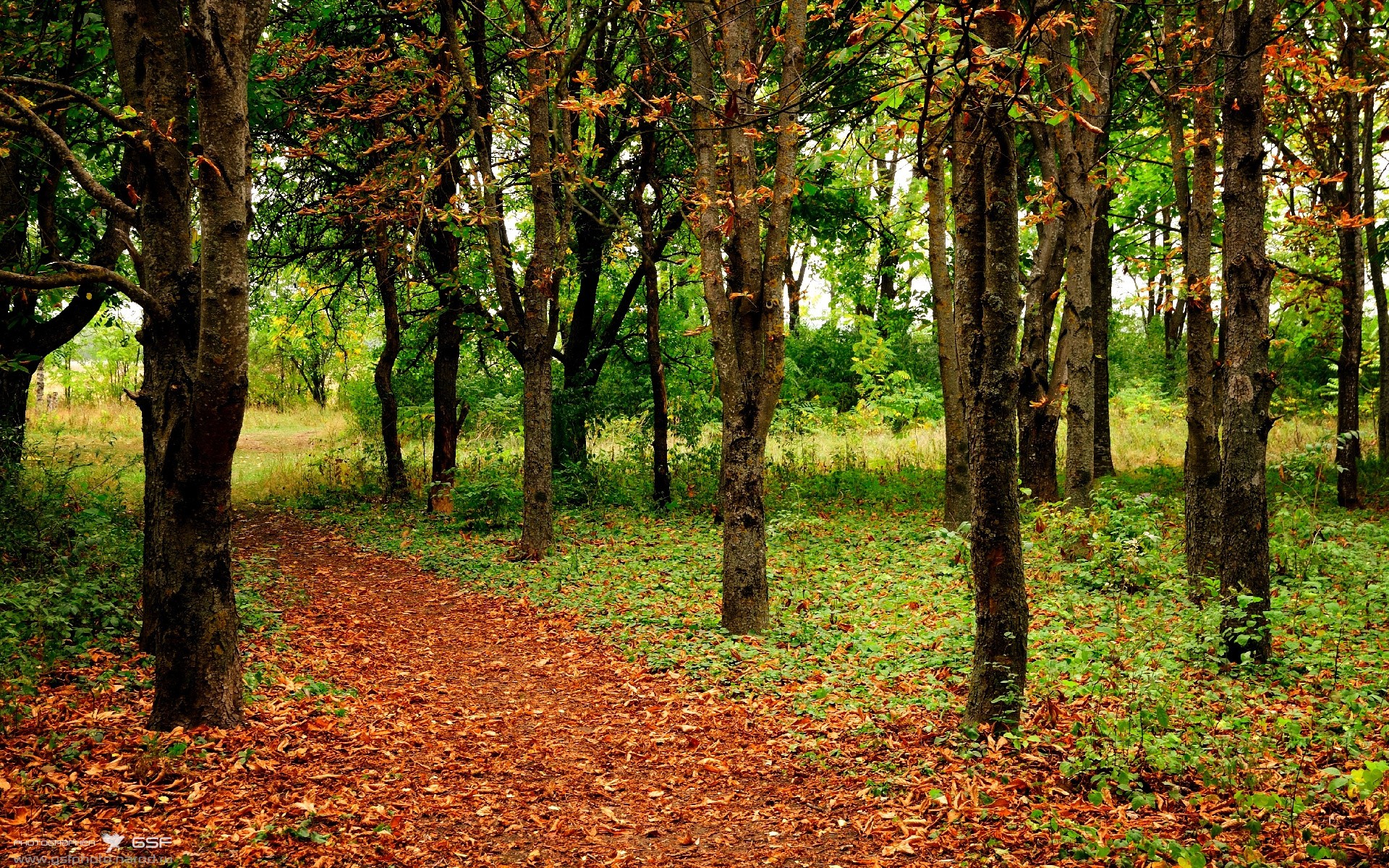 冷锋过境，当乔治的寒霜时刻，冻结老鹰的翅膀