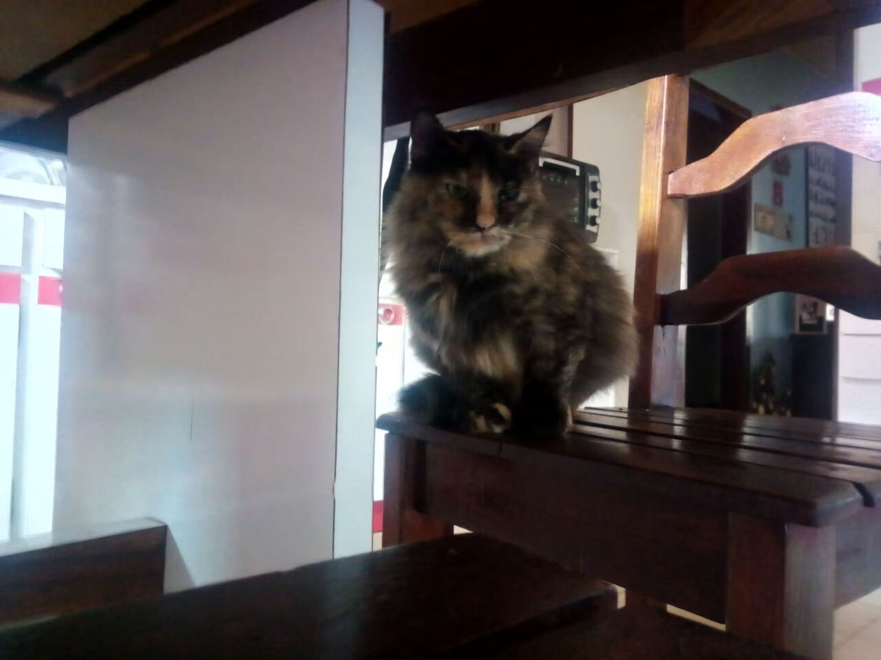 雷火电竞下载-三分雨对铁壁，库里用一粒粒远射凿穿了广厦的叹息