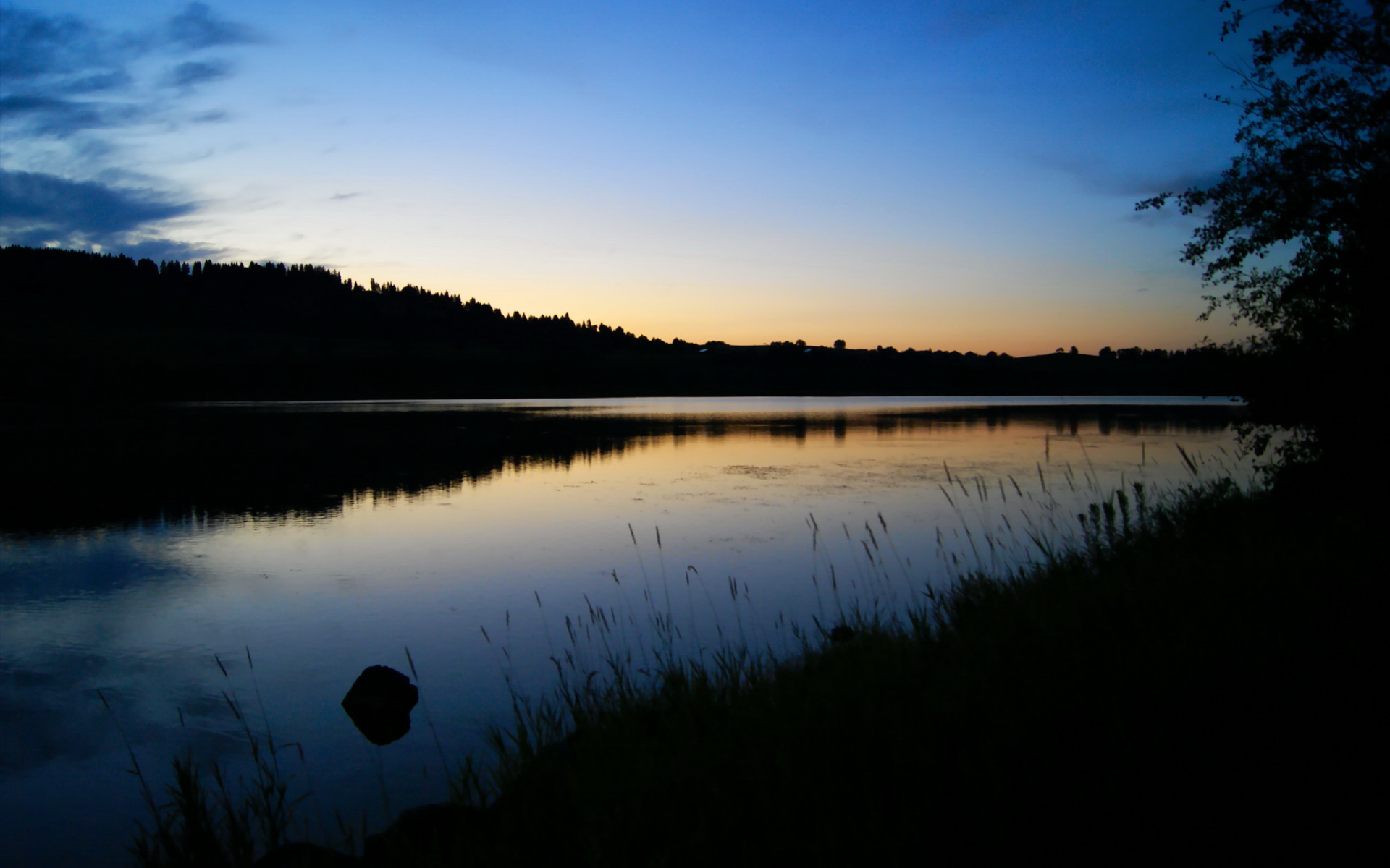 篮网硬撼雷霆，文班亚马觉醒信号震彻NBA