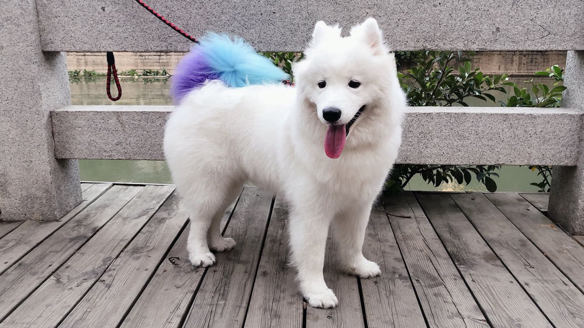 光，有两种写法