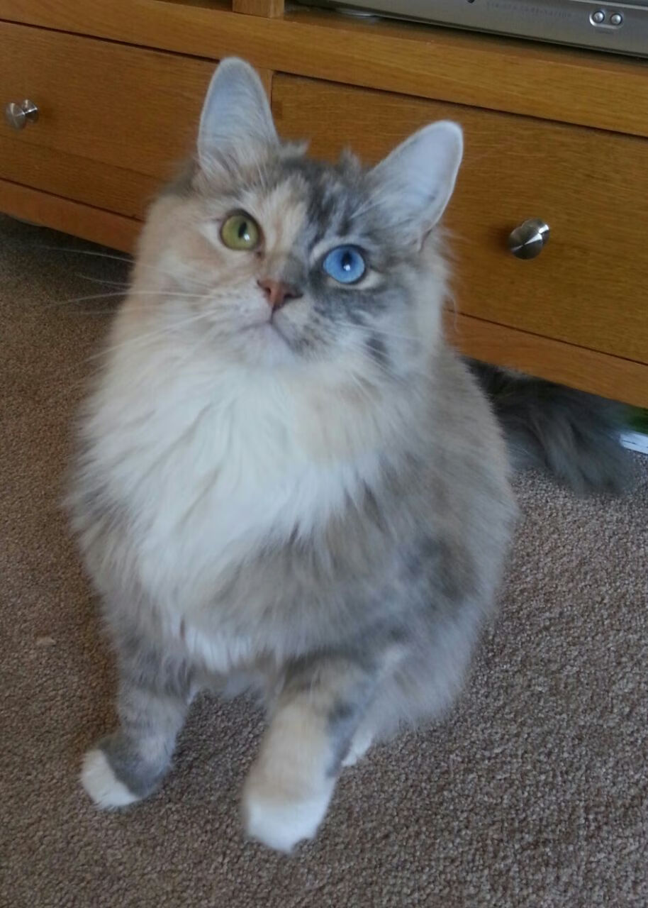 雷火电竞官网-唯一的答案，迪亚斯，AC米兰重剑无锋击溃巴萨的破局之人