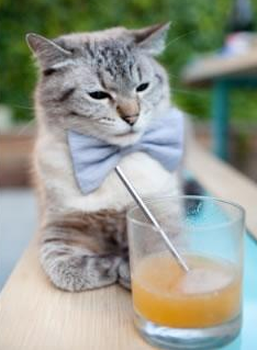 冰岛启示录，当赖斯的节奏哲学击败皇马式华丽