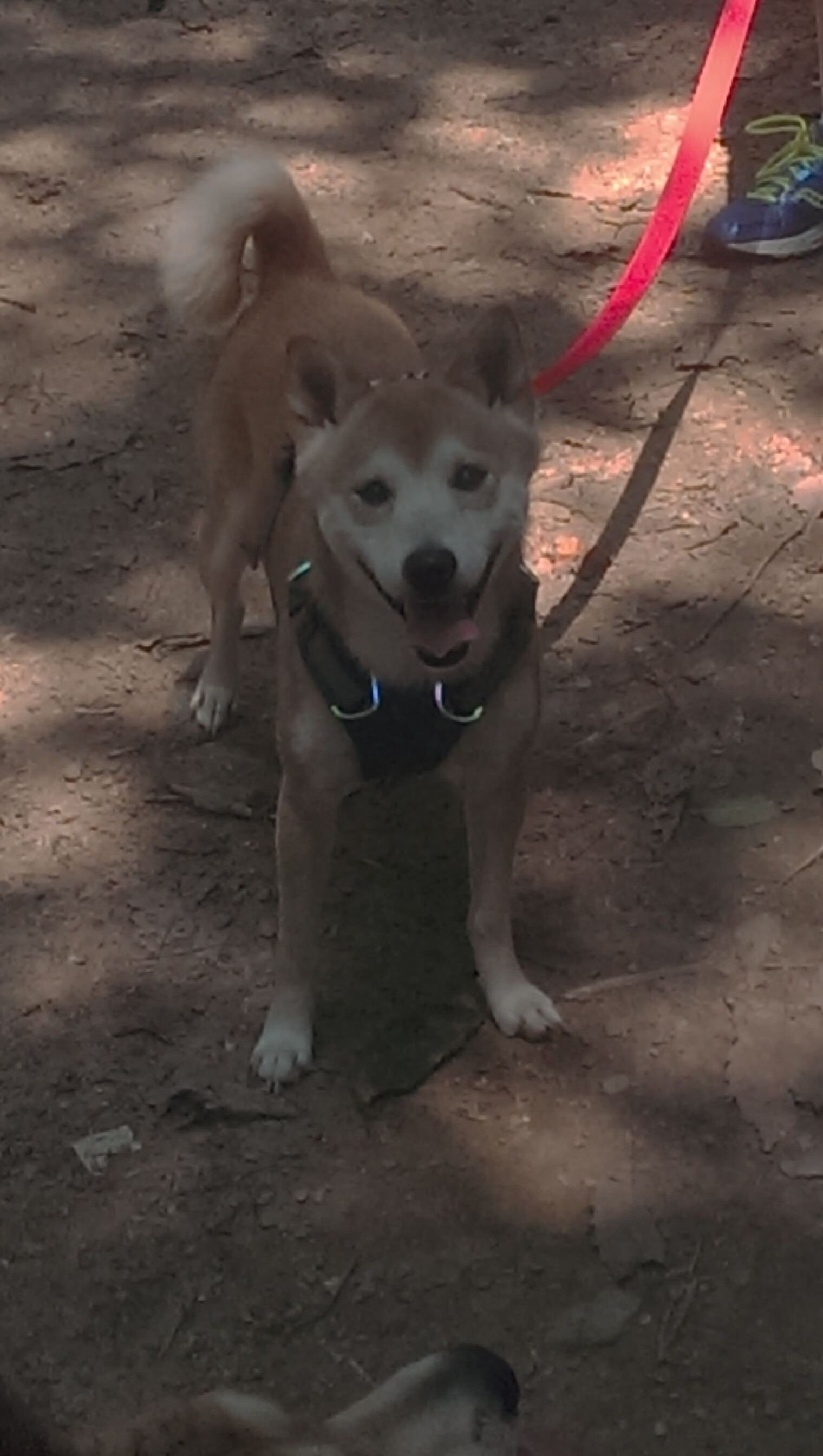 撕裂防守，冰封双塔，当个人救赎遇上团队防守的哲学