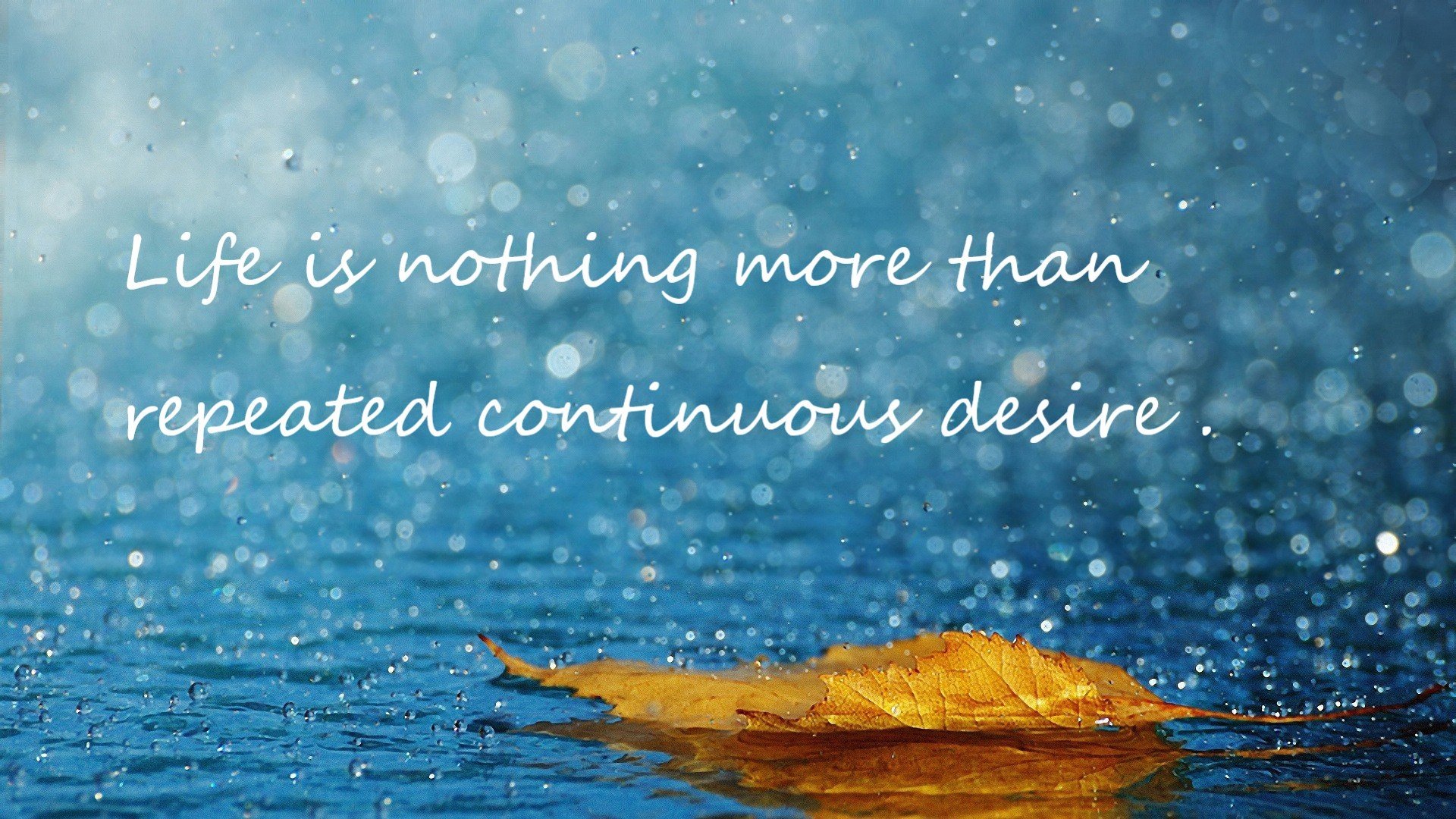 北非之刃，蔚蓝之殇，当格列兹曼的星光遇上阿尔及利亚的风暴