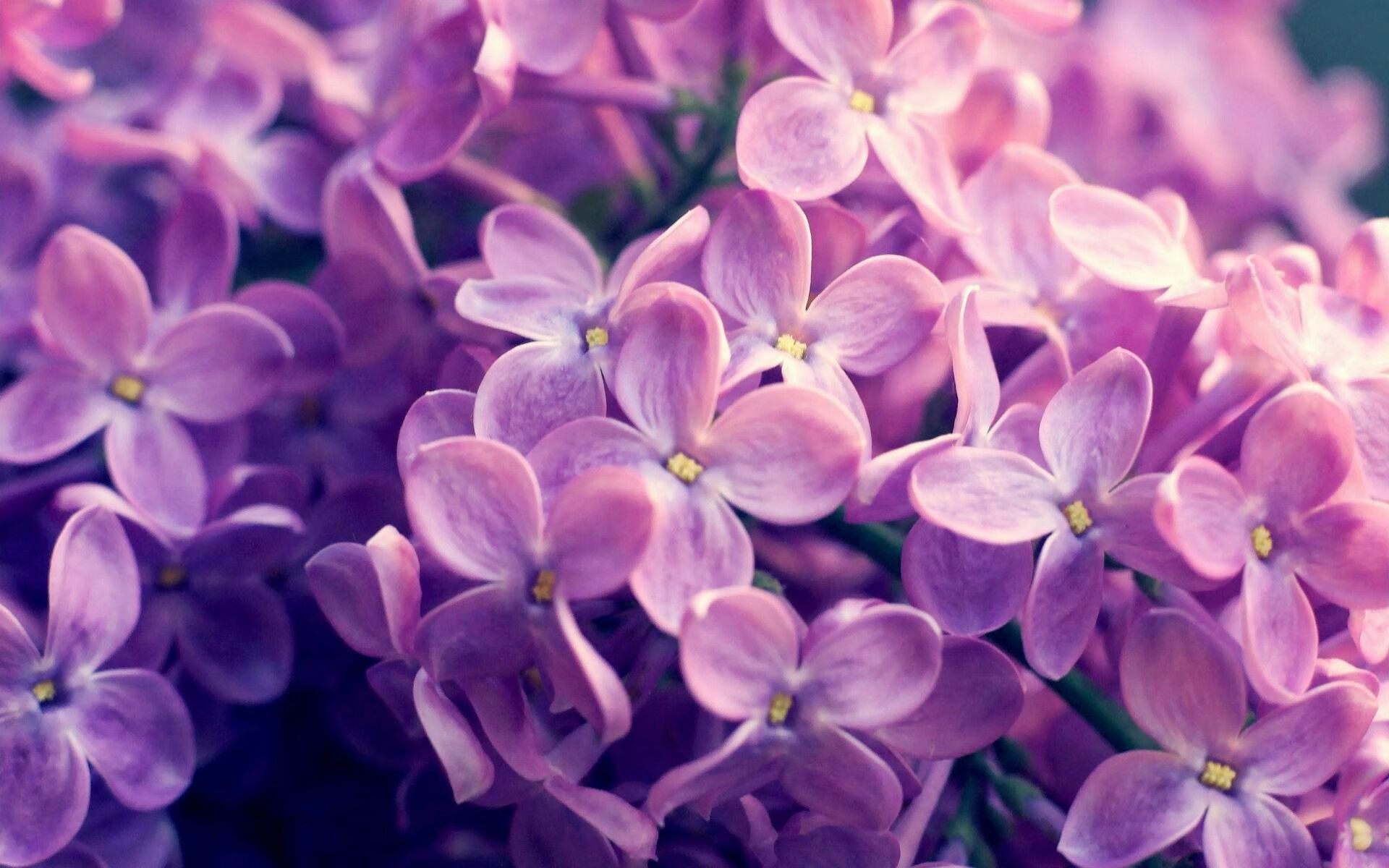 孤岛之战，雷霆在麦迪逊逆袭尼克斯，揭示现代篮球的生存法则