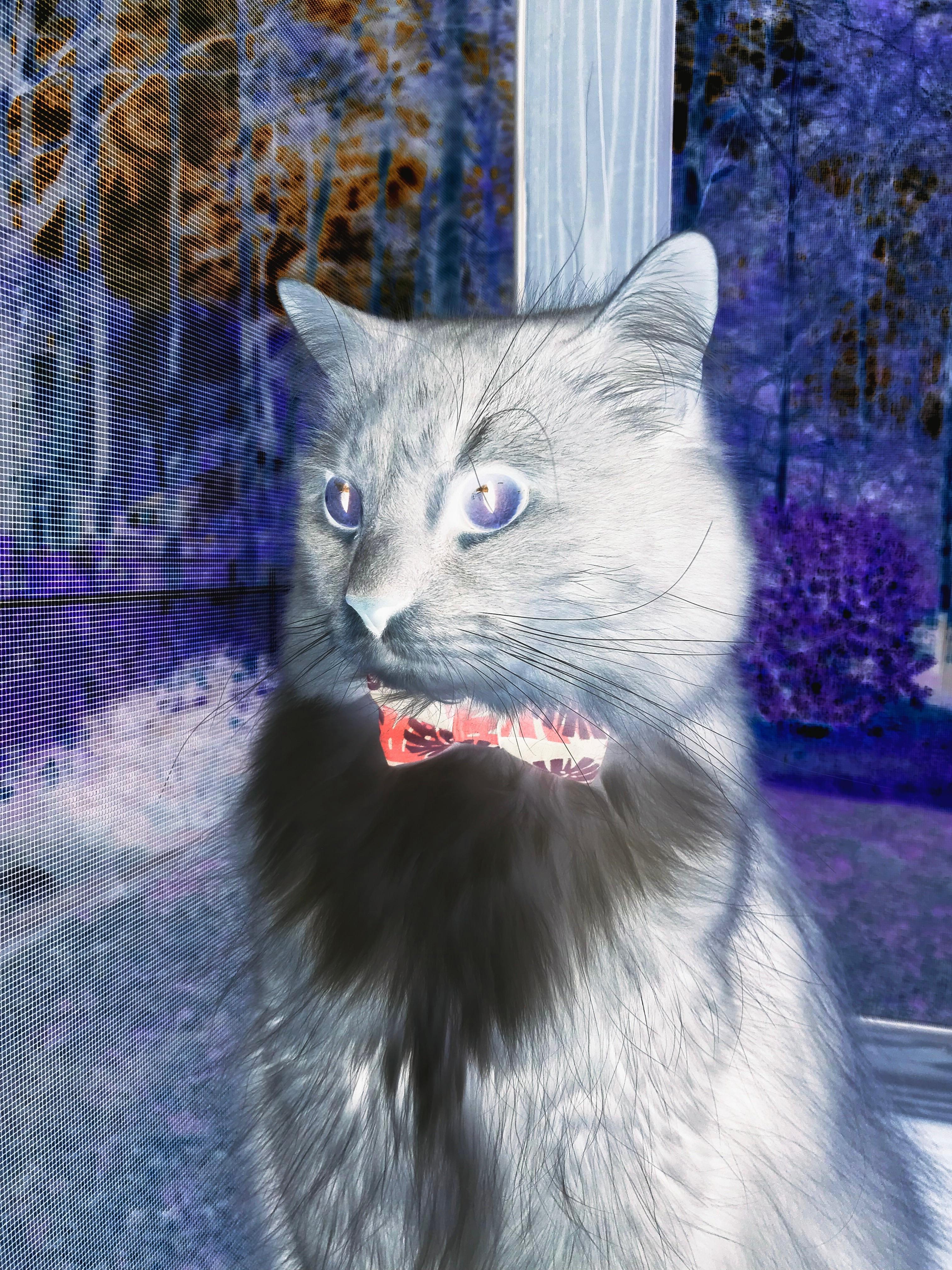 山西红，米切尔拉响红色警报，钢铁防线粉碎猛龙