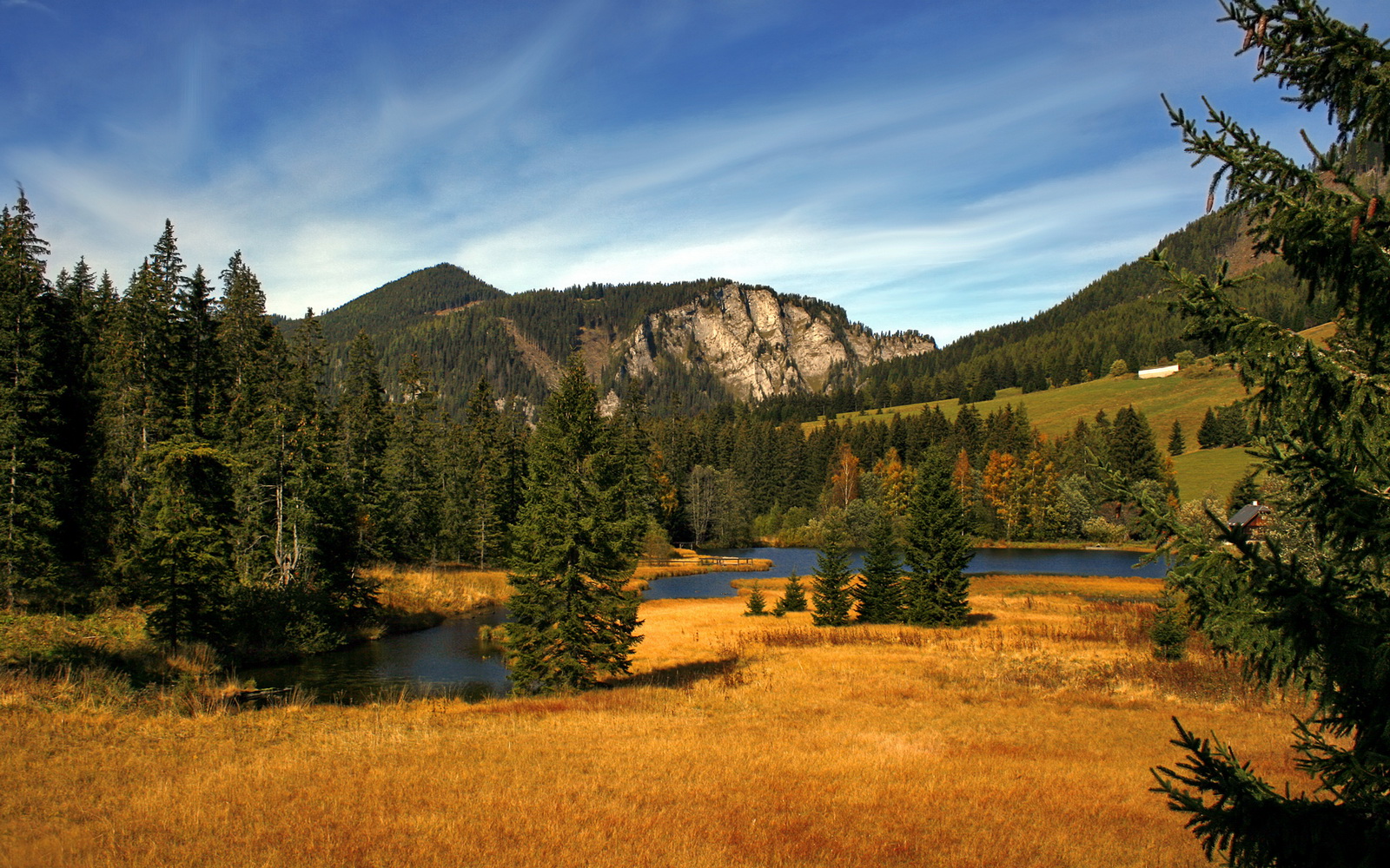 窒息的篮球防守,一场没有硝烟的战争,雄鹿如何锁死浙江队?