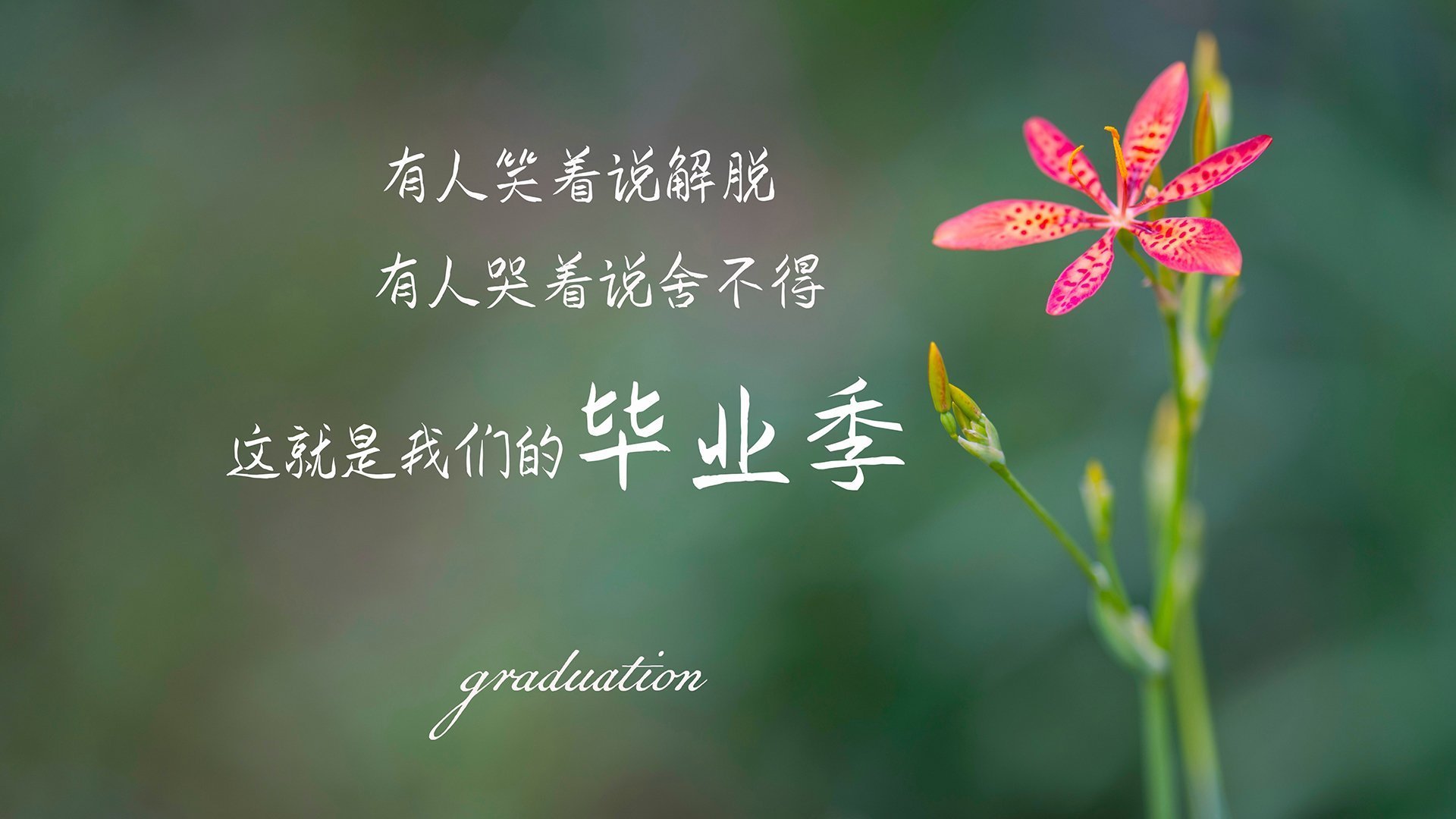 雷火电竞简介-关键球定乾坤，文班亚马冷血绝杀，恩比德率76人踏平爵士