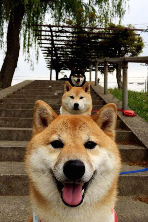 数据库之外的完美评分,当东契奇出现在掘金对阵热火的夜晚