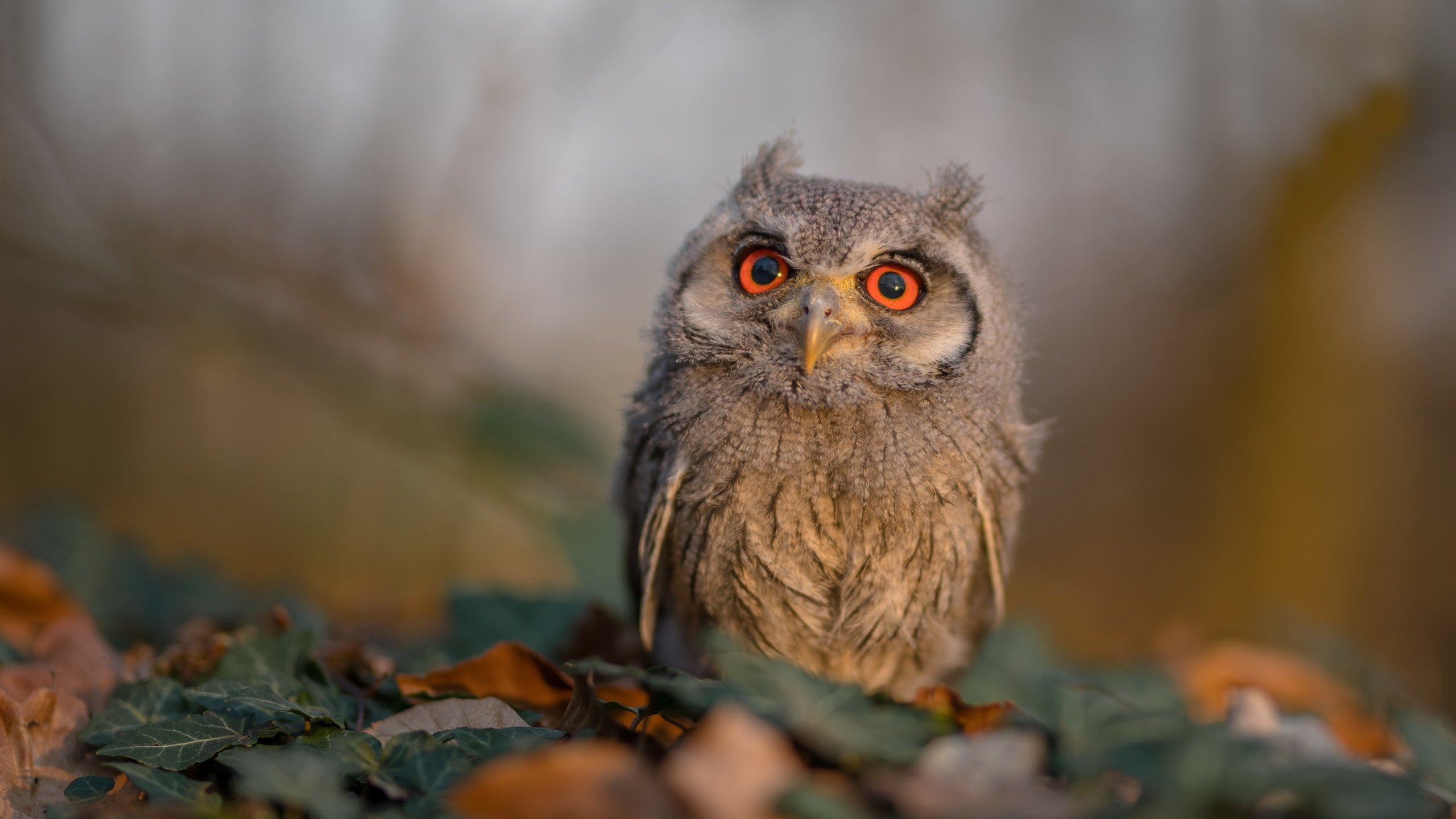 没有神灯只有汗水,克罗地亚用最硬的方式赢下最不能输的仗,苏亚雷斯用一脚踢碎心魔