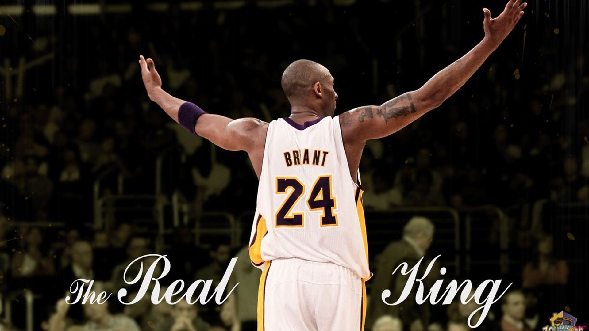 雷火电竞主播-宿命回响，迪马利亚的利刃与加纳的铁壁