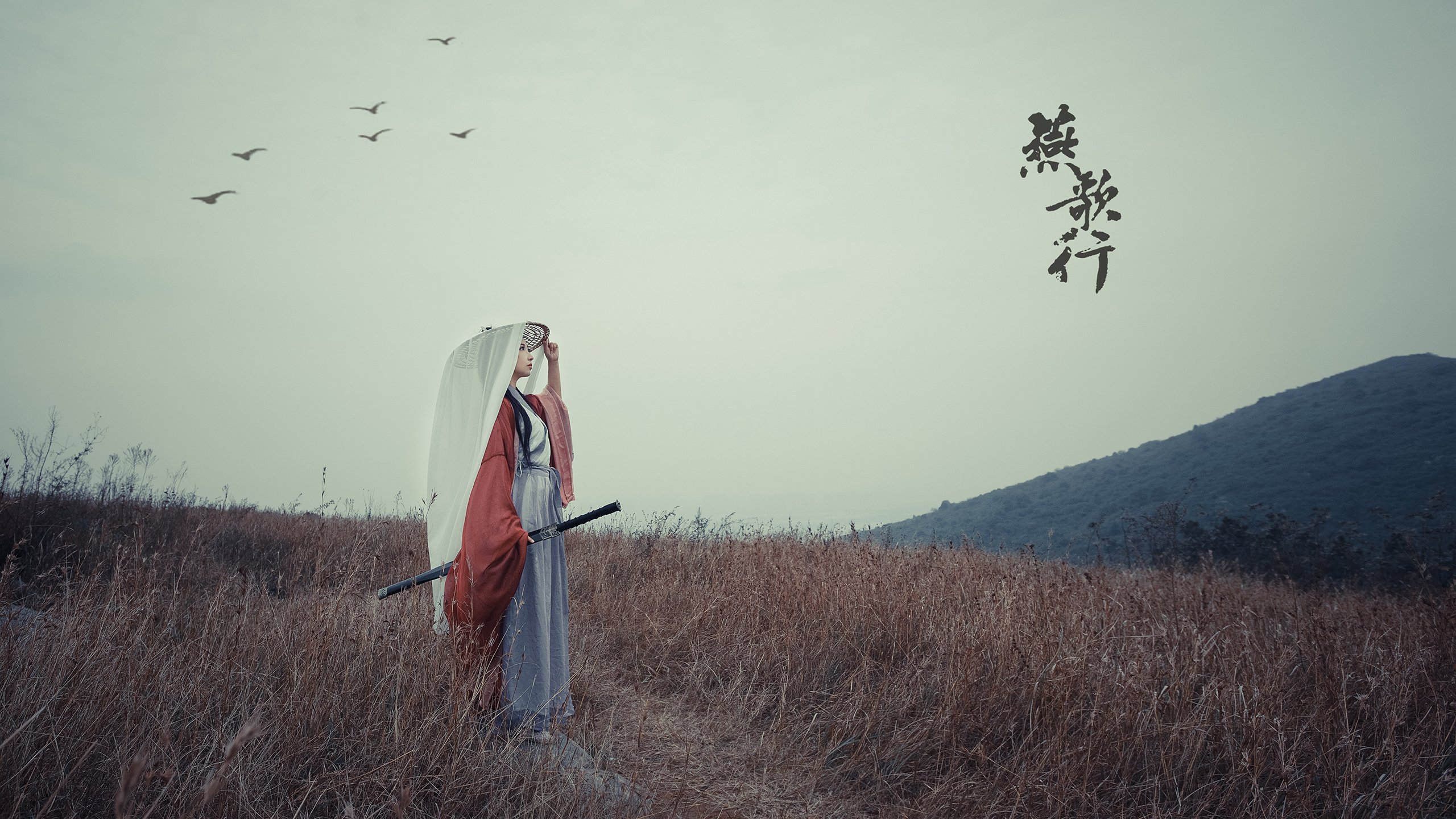 雷火电竞主播-绝境中的致命一击，萨内终结芬兰，阿联酋引领世界杯生死战