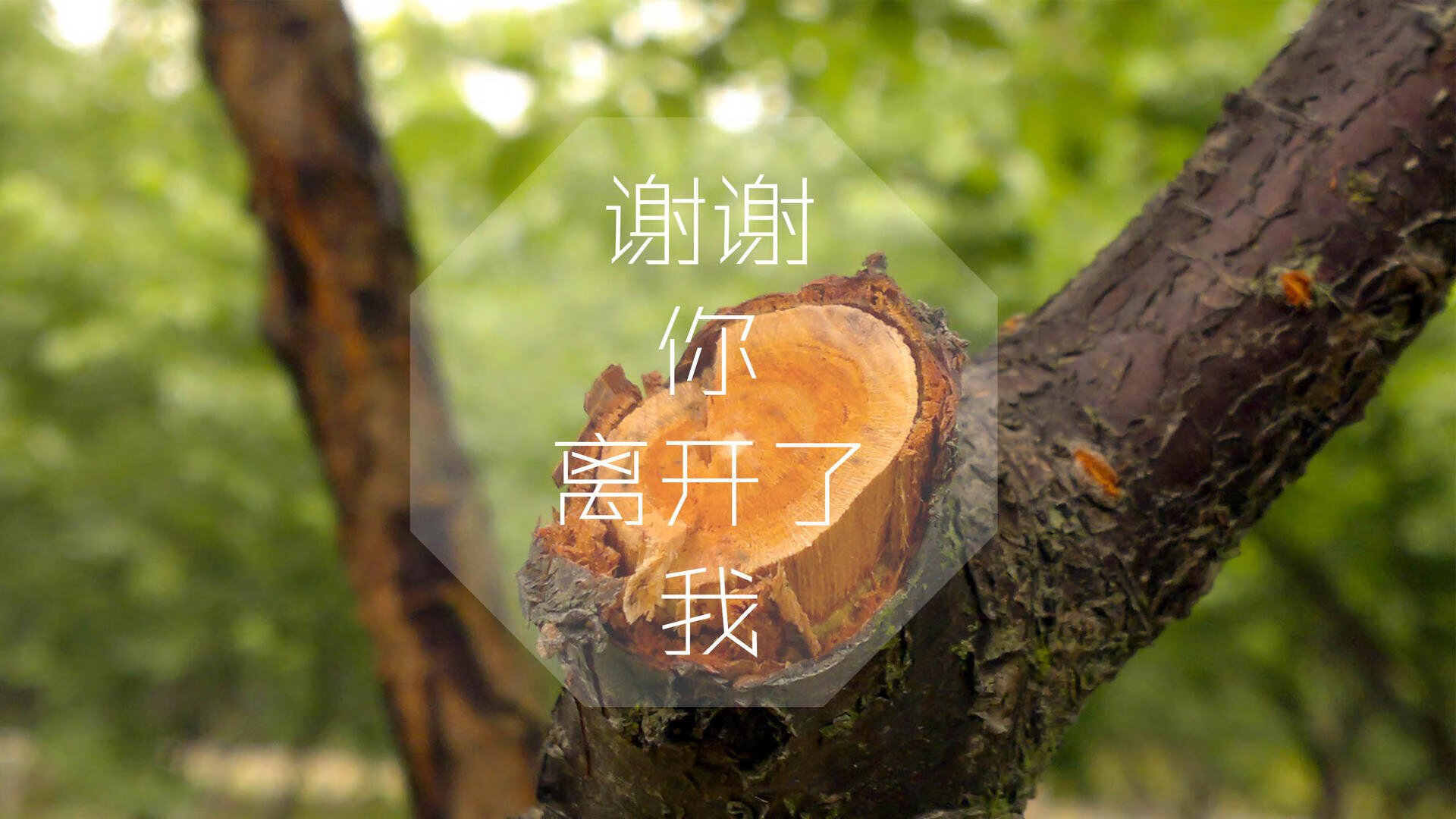 雷火电竞合作-2026世界杯B组，阿联酋战术革命，哈兰德致命一击终结丹麦童话