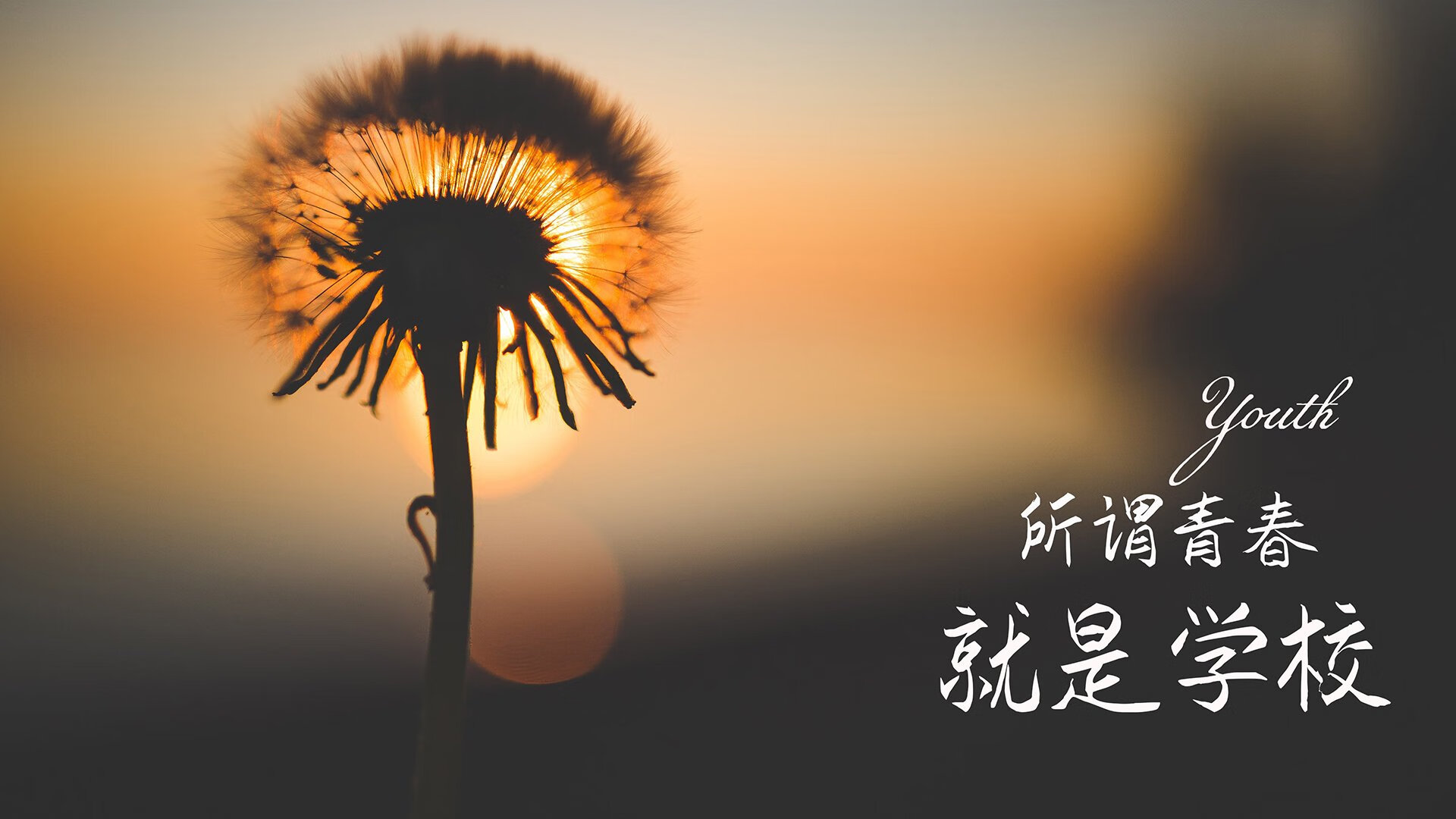 雷火电竞亚洲先驱-孤星闪耀，京多安领军绝境突围，罗马尼亚在2026世界杯C组生死战中一剑封喉