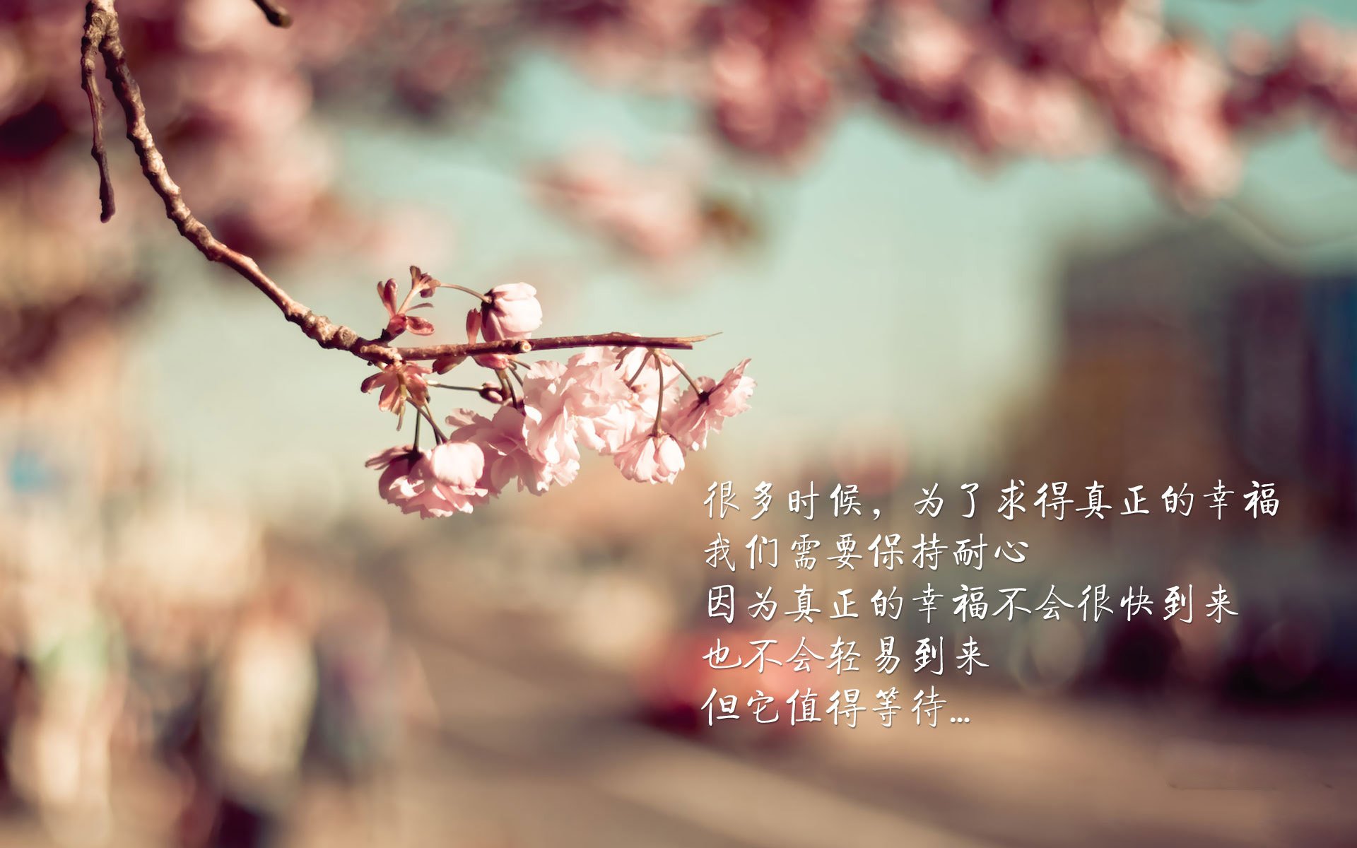 一秒钟的永恒，当挪威的极光吞噬斯洛伐克的钢铁防线，塔雷米写就世界杯最孤独的神话